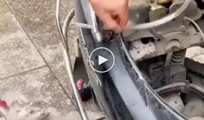 Life hack: how to drain gasoline from a tank
