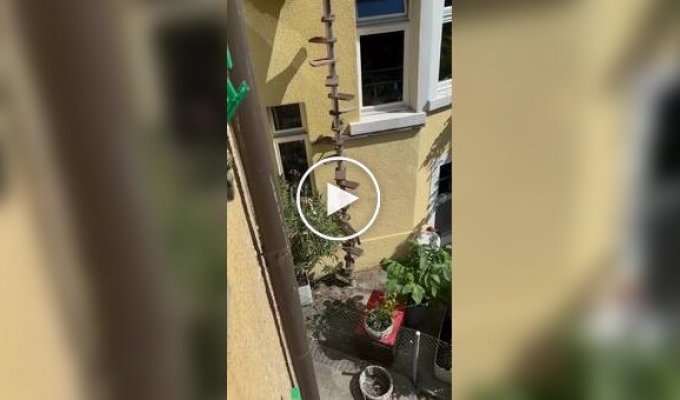 Лестница для кота