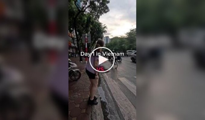 Life in Vietnam, a beginner and an expert