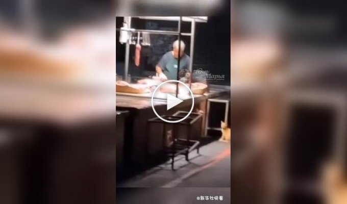 Сходка рыжей пушистой банды