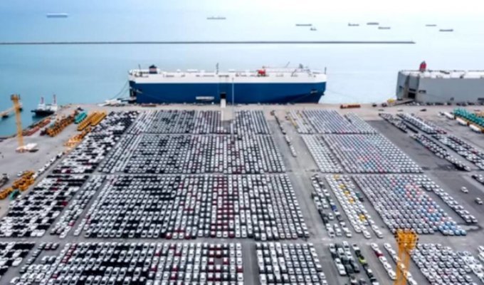 Giant ships or how cars are transported by sea (3 photos + 1 video)