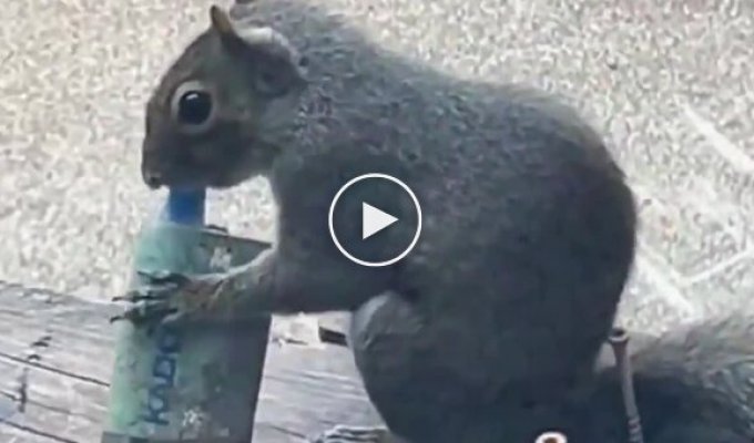 Британские белки подсели на вейпы