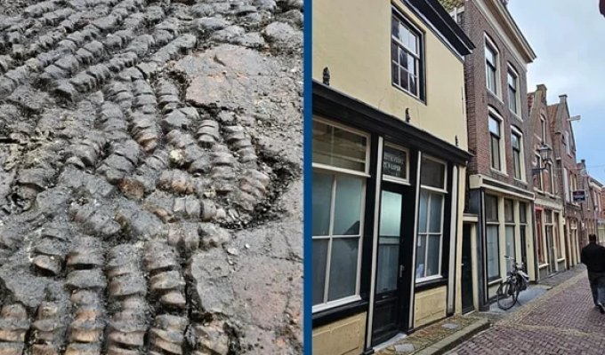 Ancient Bone Floor Discovered in Red Light District (4 photos)