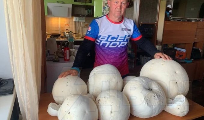 «Результативная получилась пробежка»: спортсмен из Кумертау обнаружил огромные грибы-мутанты (4 фото)