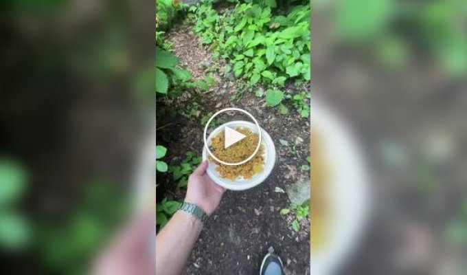 Это и есть самое хитрое животное или так и задумывалось