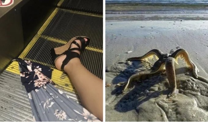 19+ фотографий, способных вызвать неприятные эмоции и даже ужас у самых впечатлительных (23 фото)