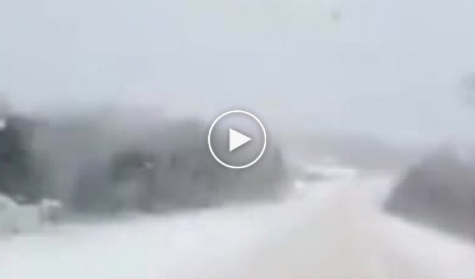 Польский водитель радуется зиме