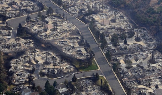 Охваченный пожарами Колорадо объявили зоной стихийного бедствия (21 фото)