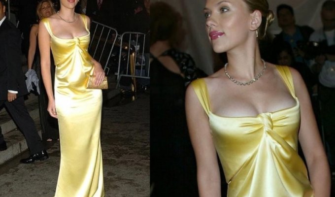 20 of the most iconic dresses in history (29 photos)