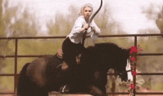 Cool gifs. Issue 2752 (125 gifs)