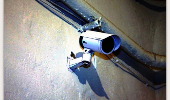 Бумажная камера наблюдения (12 фото)