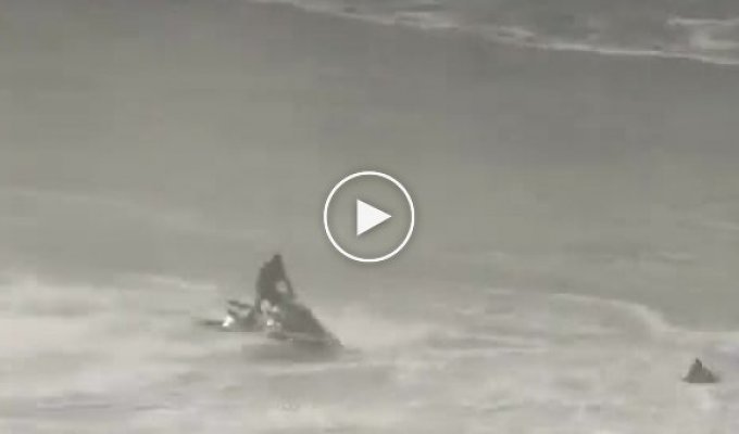 Эвакуация серферов в Португалии