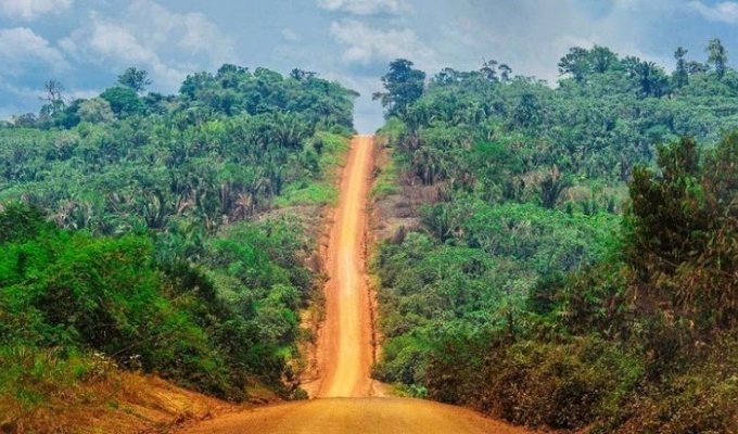 Трансамазонское шоссе: экологическая катастрофа (13 фото)