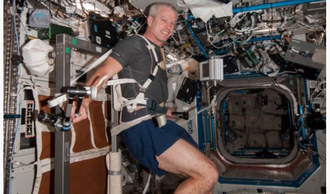 Рабочий день космонавта на МКС (5 фото)