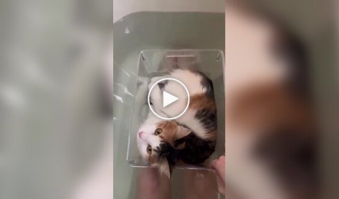 Оригінальний спосіб лежати в ванні з кітом