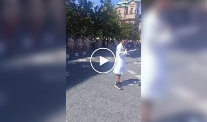 Из жизни европейских зоозащитников