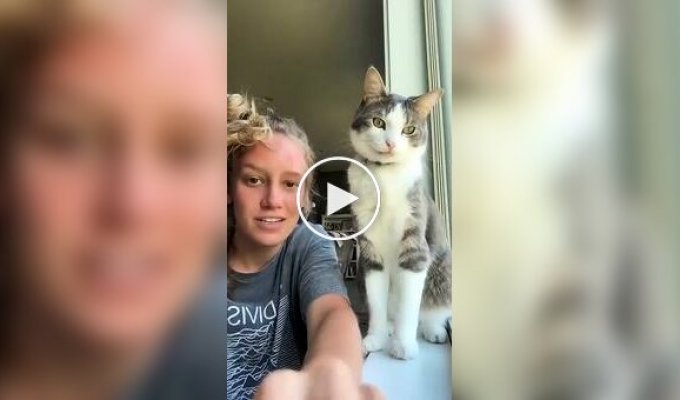 Пушистые агрессоры