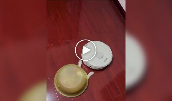 Кот попытался застать пылесос врасплох