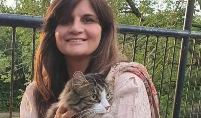 A smart cat saved a woman's life (3 photos)