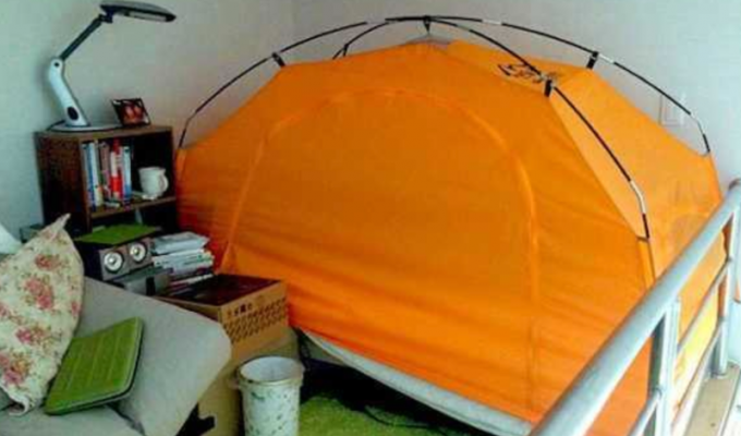 Why do Koreans put up tents at home (10 photos)