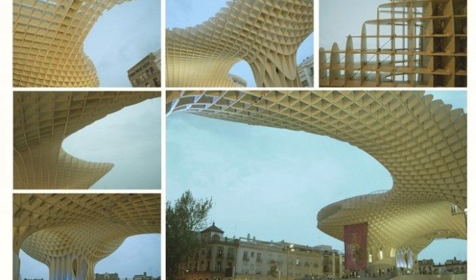 Самое большое сооружение из дерева в мире (25 фото)