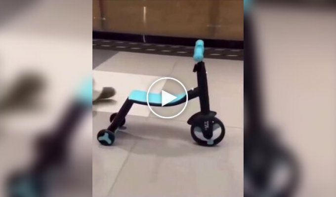 Трехколесный самокат-трансформер