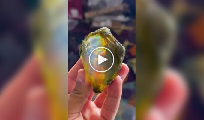 Красивое и удивительное (короткие видео). Выпуск 57