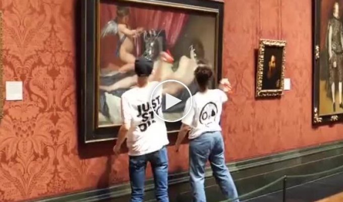 Environmental activists attacked a Velazquez painting in the National Gallery in London