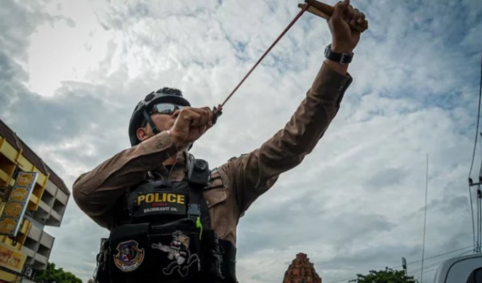 Monkey gangs in Thailand are fighting the police (6 photos)