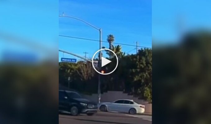 Годовалый малыш выпал на ходу из машины в США и чудом выжил