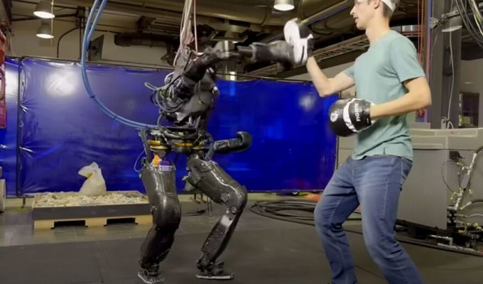 Impressive: the robot Nadya was taught to box (4 photos + 1 video)