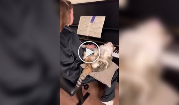 Главный ценитель прекрасного