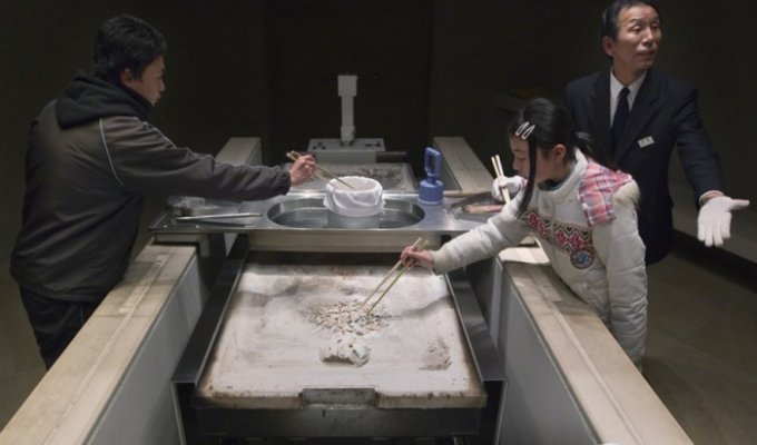 Крематории в Японии переполнены (4 фото)