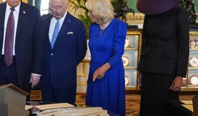 Мелания Трамп угодила в мемы из-за своего странного наряда (8 фото)