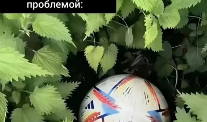 Лучшие шутки и мемы из Сети. Выпуск 724 (11 картинок)