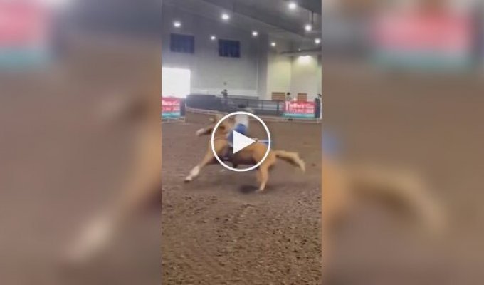 Lost control of the horse