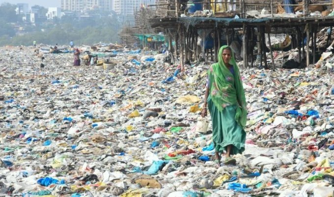 Как сортируют пластик в трущобах Индии (13 фото)