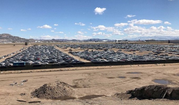Cemetery of new Volkswagens in the desert (8 photos)