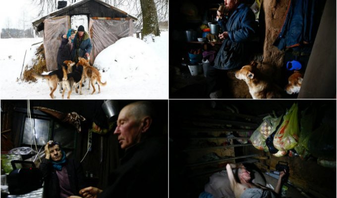 Нет людей, нет проблем: как живет семья отшельников в белорусском лесу (23 фото)
