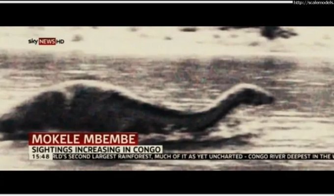 В поисках Мокеле-мбембе (4 фото)
