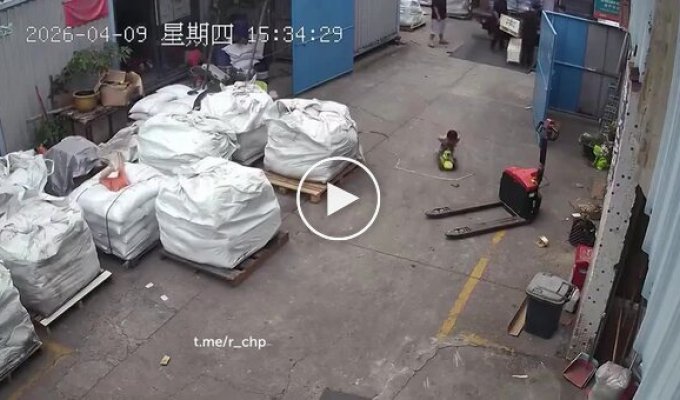 Когда папа взял с собой на работу