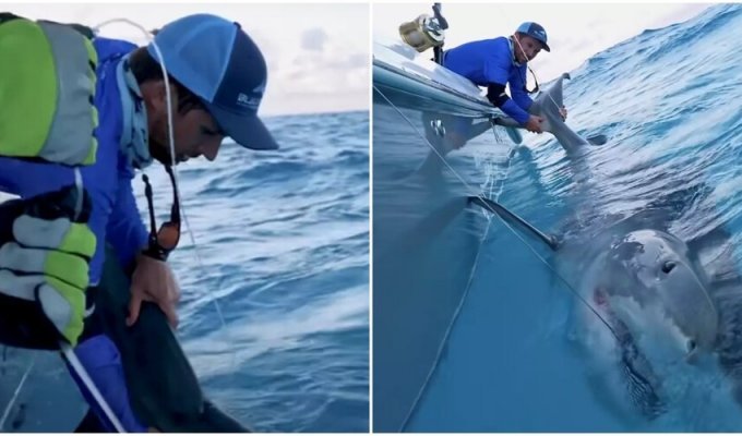 A man caught a huge shark on a hook while fishing (4 photos + 1 video)