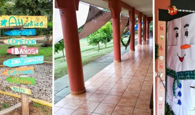 Лиры, бананы, гамаки: как выглядит частная школа в Коста-Рике (26 фото)
