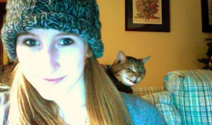 25 Devious Cats Secretly Plotting to Kill Their Owners (26 Photos)