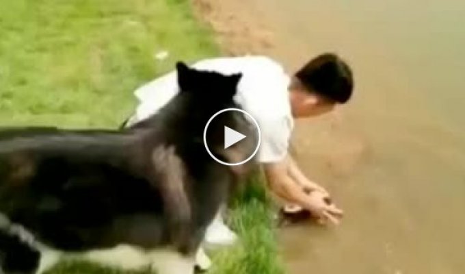Пес-шутник искупал в реке своего доверчивого хозяина
