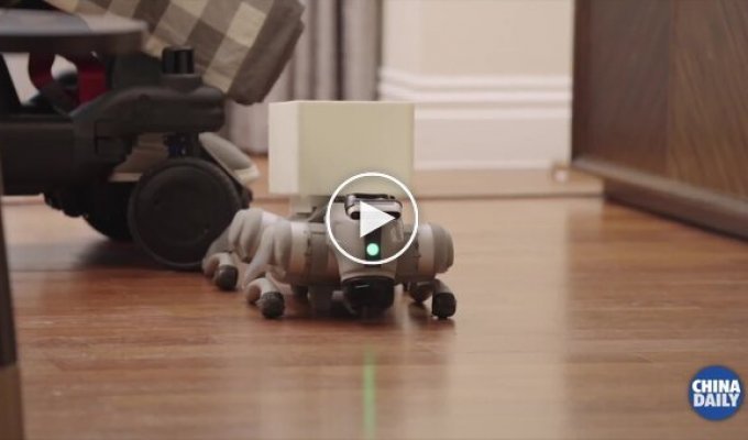 Парализованный мужчина управляет роботом силой мысли