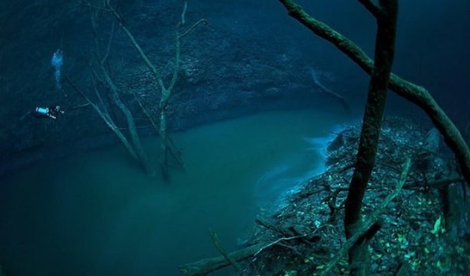 Дайвер обнаружил реку... под водой (4 фото)