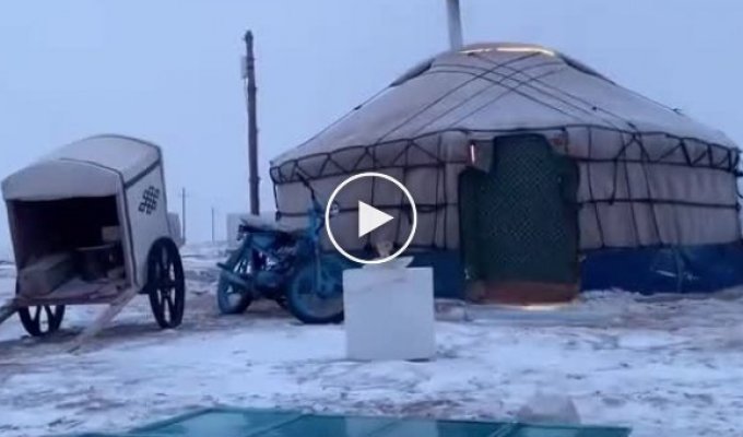 Холодильник по-монгольски
