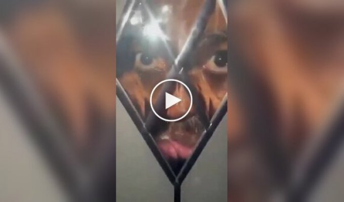 В Англии неизвестный ночью смотрел в стеклянную дверь дома