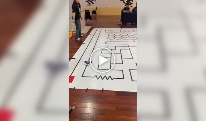 Robot racing along lines